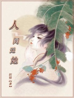 《人间无她》(沈清晏沐九陵)小说阅读by炽情
