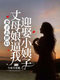 《妻子去世后，丈母娘逼我迎娶小姨子》陈正豪袁玲雅全文精彩阅读