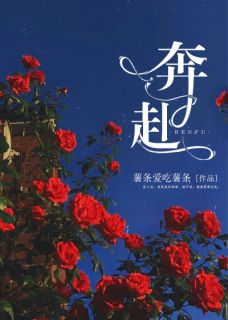 《奔赴》小说章节列表免费阅读 江宁薄云深小说全文