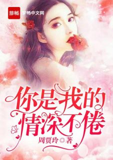 你是我的情深不倦by周贾玲 夏心瑶厉封枭免费完整版