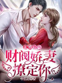 主角是宋宁苏辰昊的小说 《先婚后爱：财阀娇妻，撩定你》 全文精彩试读