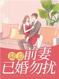 主角是苏伊人陆云霆的小说 《陆总，前妻已婚勿扰》 全文免费阅读