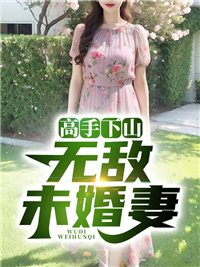《高手下山：无敌未婚妻》陈宁沈慕青小说在线阅读