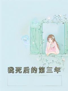 《我死后的第三年》小说章节目录免费阅读 静静祁佑媛媛小说全文
