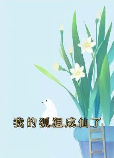 徐梦狐狸刘乐小说 徐梦狐狸刘乐我的狐狸成仙了免费阅读